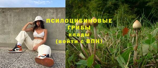прущие грибы Киреевск