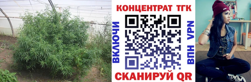 ТГК Wax  Лихославль 